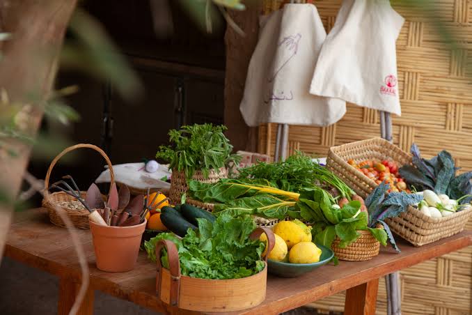 Experiencia gastronómica de la granja a la mesa